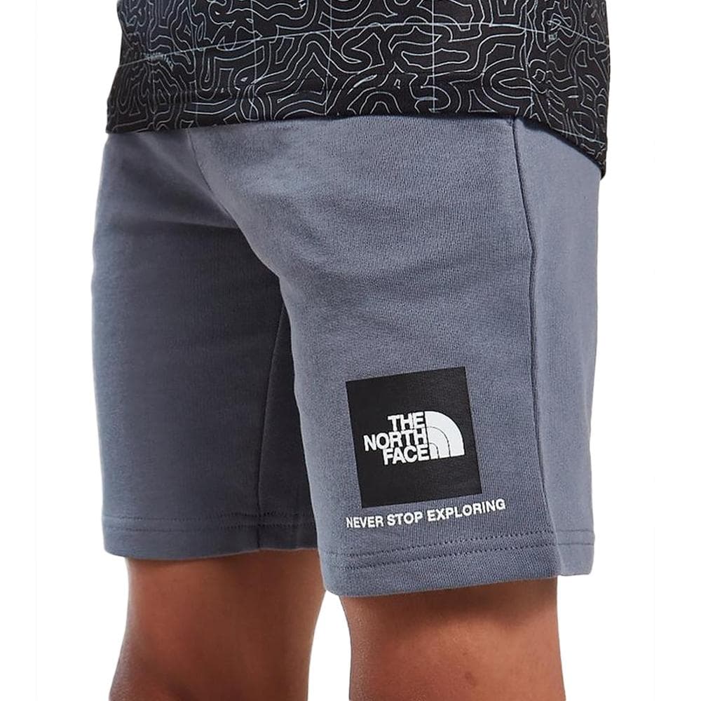 Short Gris Garçon The North Face Small Box 1