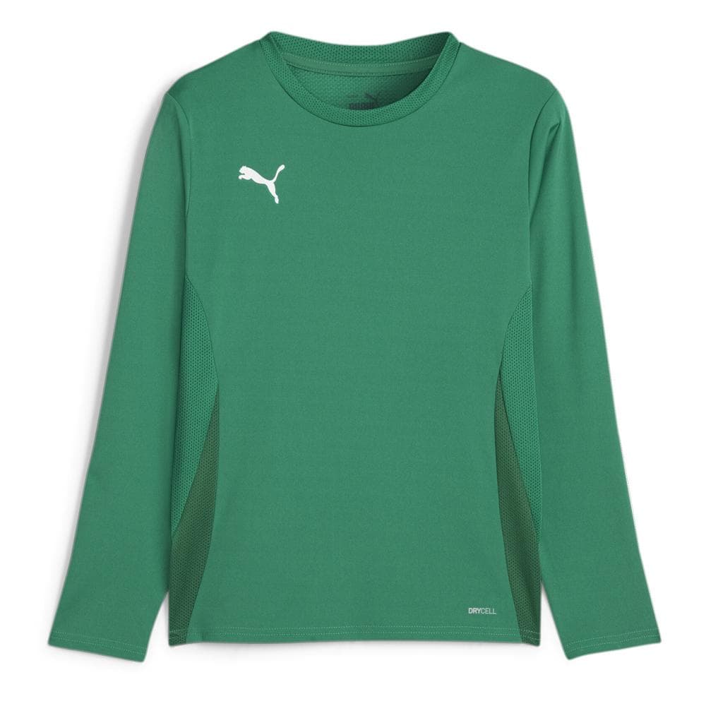 T-Shirt Vert Homme Puma Teamgoal 1