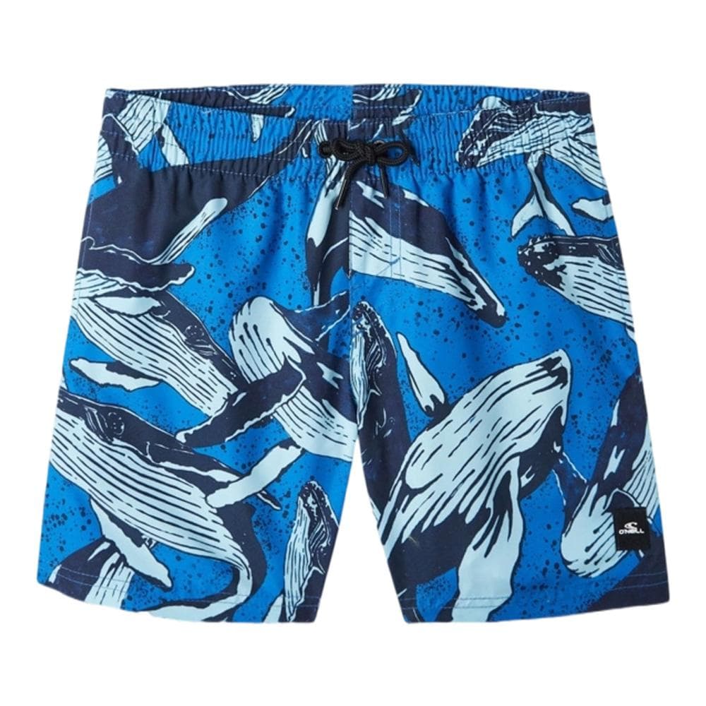 Maillot de bain Bleu Garçon O'Neill Cali 1