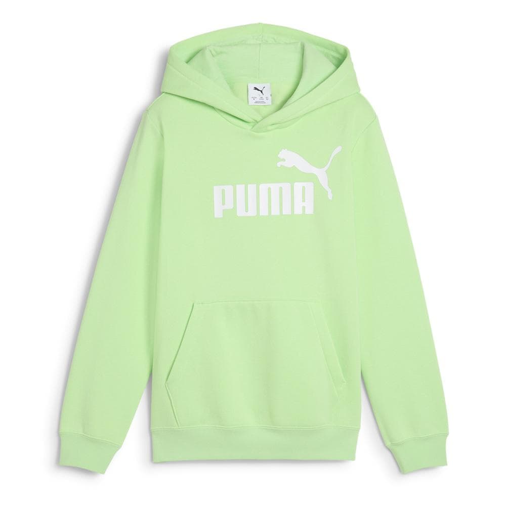 Sweat à Capuche Vert Pomme Garçon Puma Hoodi 1