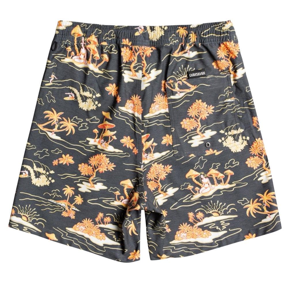 Maillot de bain Noir Homme Quiksilver Mix 17nb 2