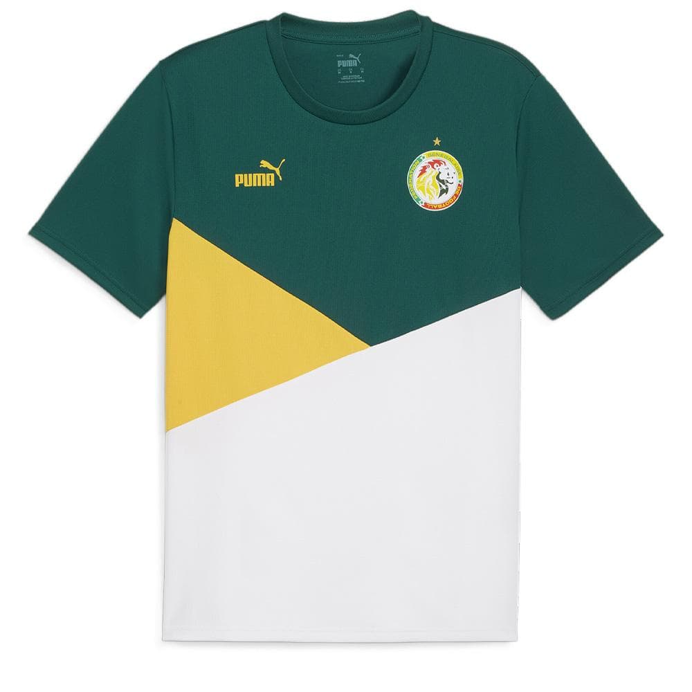 Sénégal Maillot Vert Homme Puma 2024 1