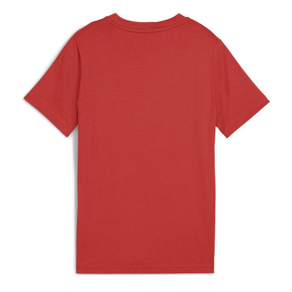 T-shirt Terracotta Garçon Puma Ess 2 Color 2