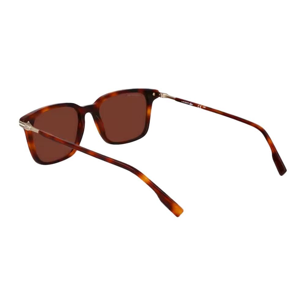 Lunettes de Soleil Marron Homme Lacoste Heritage Acetate 3