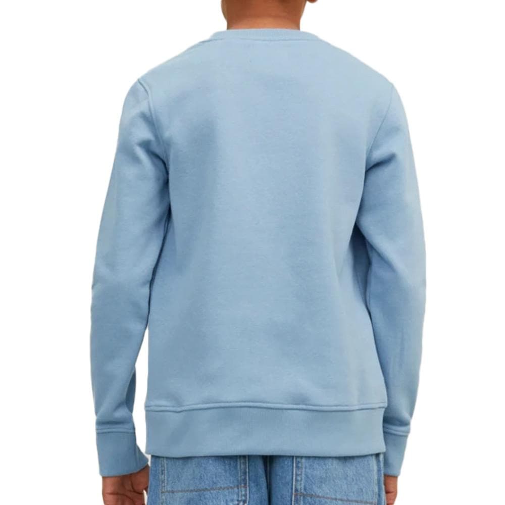 Sweat Bleu Garçon Jack & Jones Colauge 2