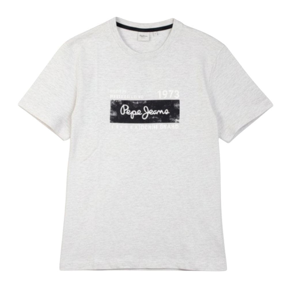 T-Shirt Gris Homme Pepe jeans Pjl M 1