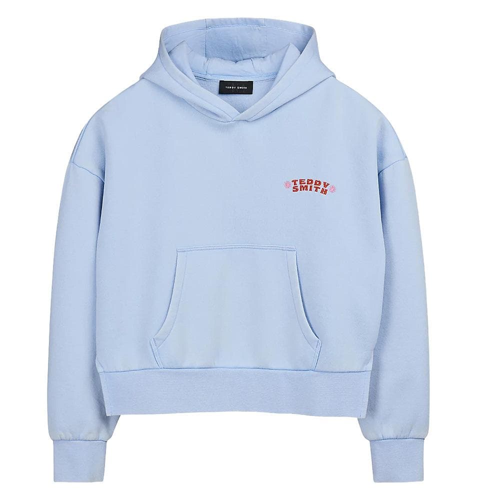 Sweat Bleu Pastel Garçon Teddy Smith Hoody 1