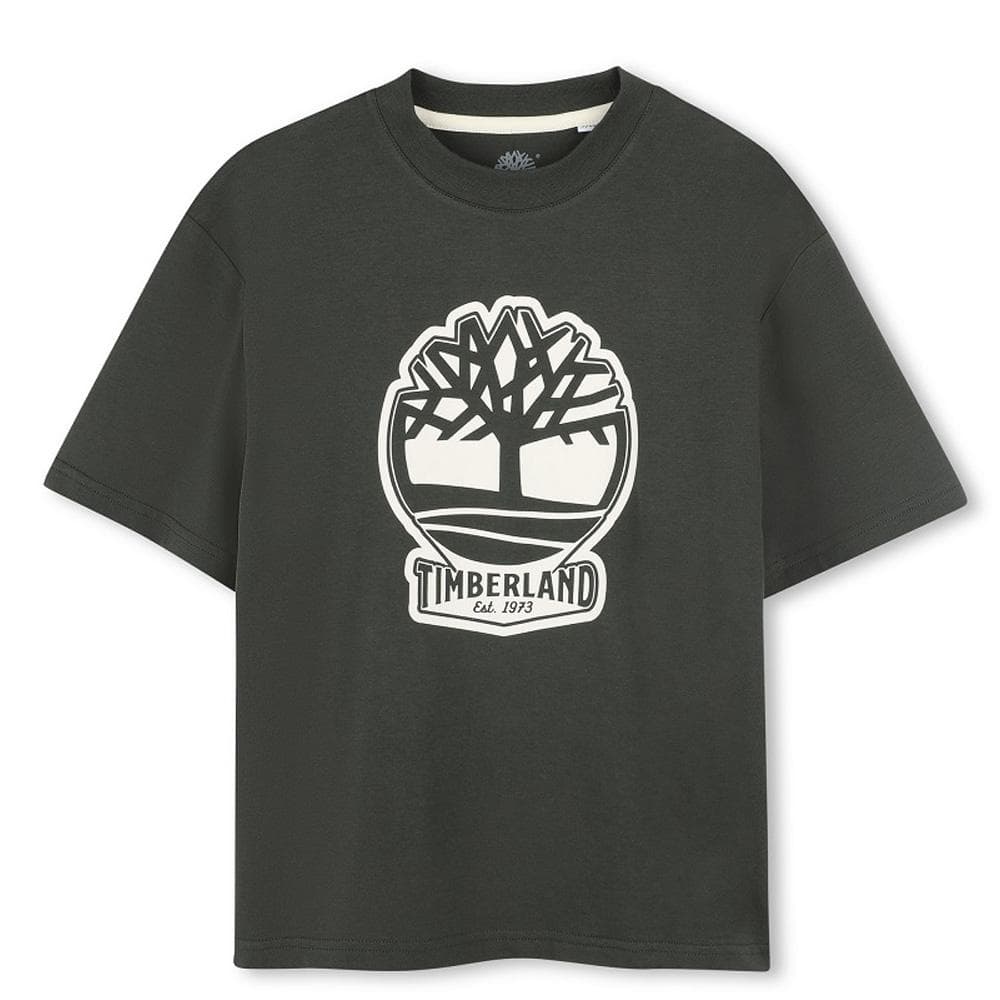 T-Shirt Vert Garçon Timberland T60422 1