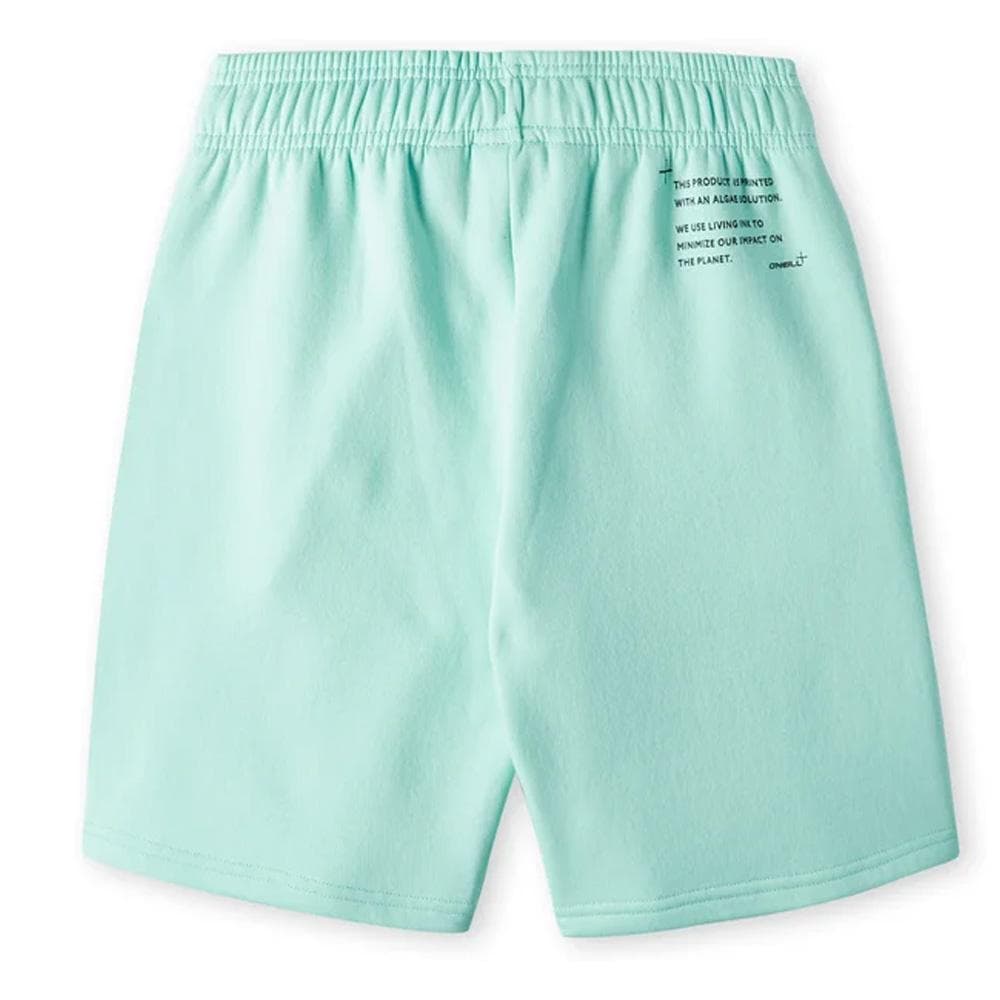 Short Turquoise Garçon O'Neill Future 2