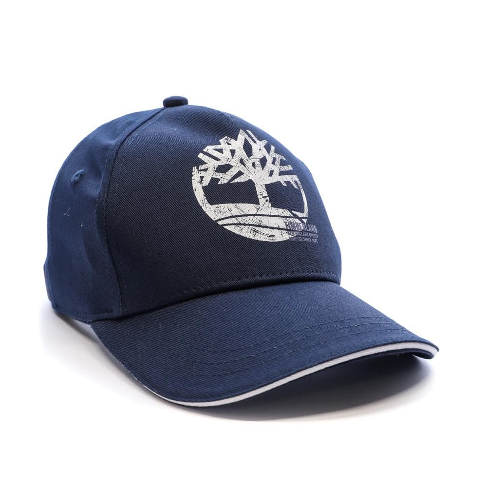 Casquette Bleu Homme Timberland T60160 2