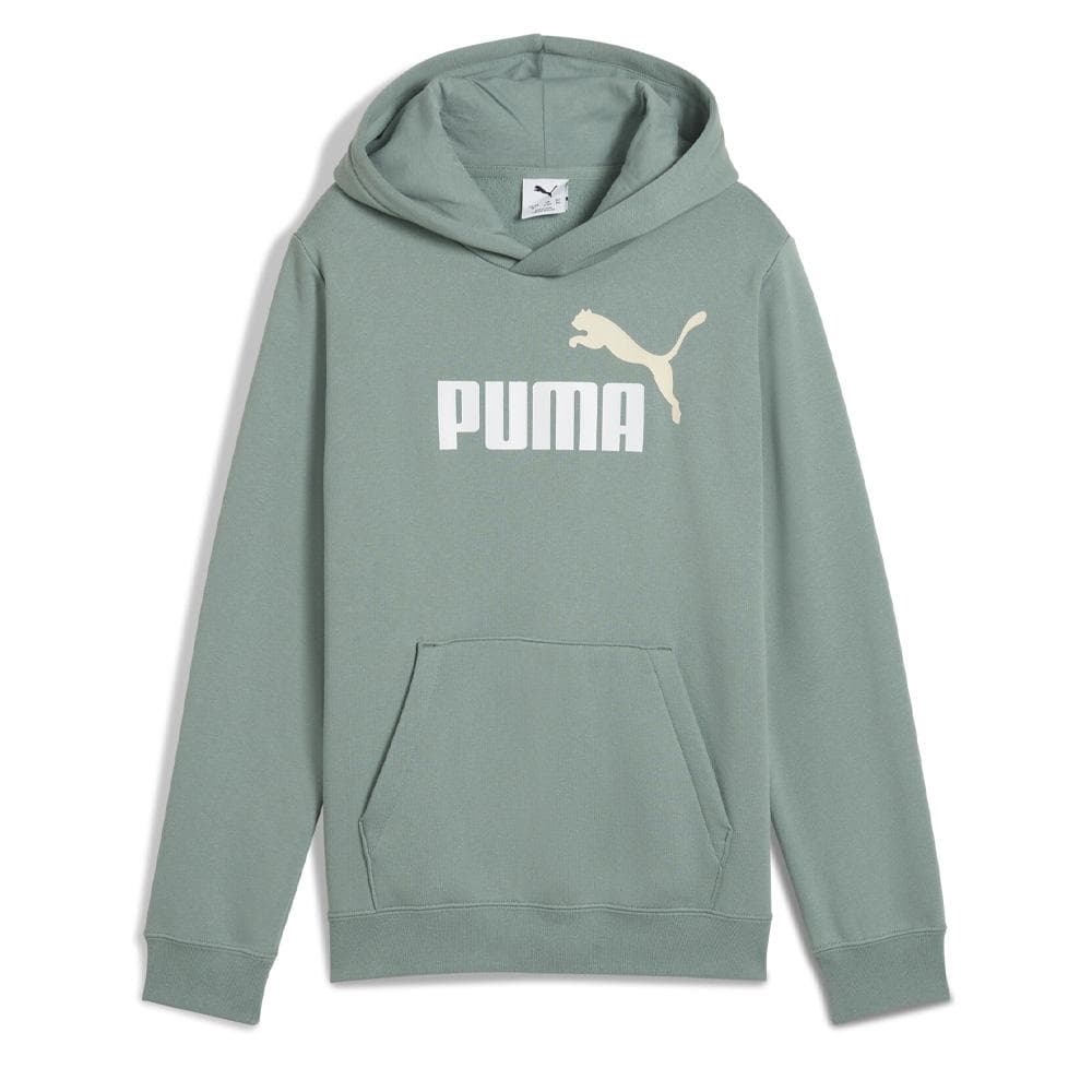 Sweat à Capuche Vert Garçon Puma Ess2 Color 1