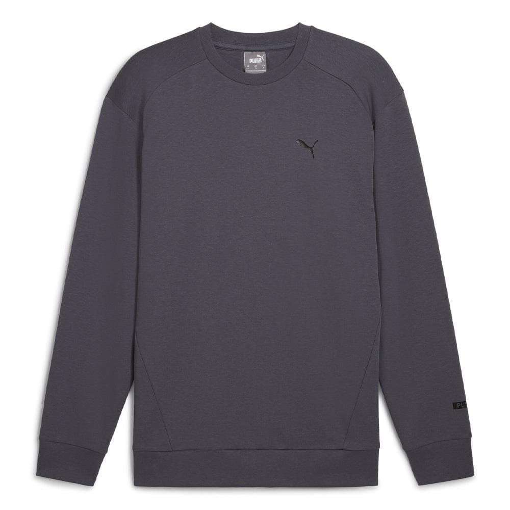 Sweat Gris Homme Puma Crew 681618 1