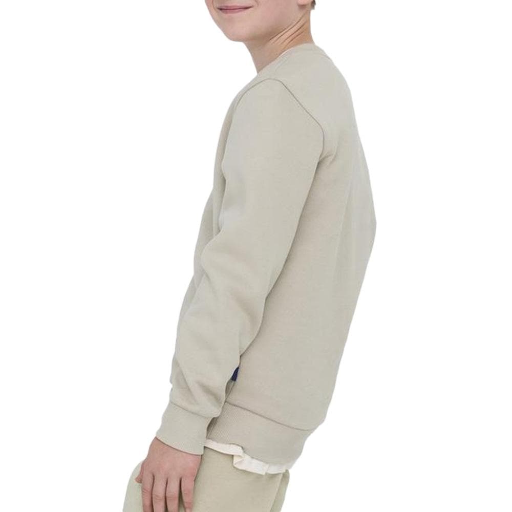 Sweat Beige Garçon Only & Sons Ceres Crew 2