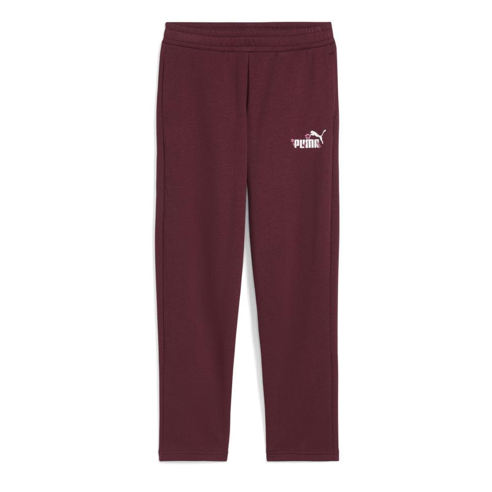 Jogging Bordeaux Fille Puma Nature 1