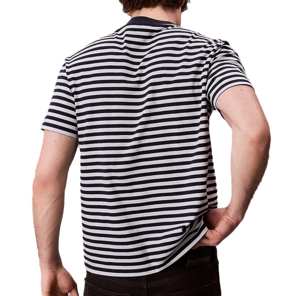 T-Shirt à Rayure Bleu/Gris Homme Calvin Klein Jeans 20s Stripe 2