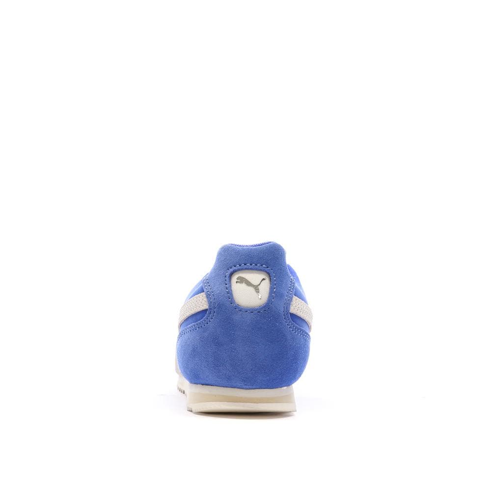 Baskets Bleu Homme Puma Arizona 3
