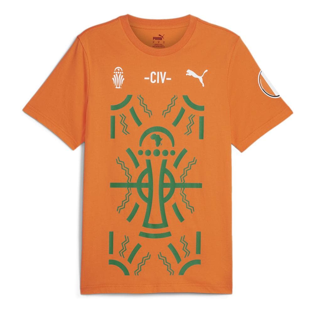 T-Shirt Orange Homme Puma Afcon 1