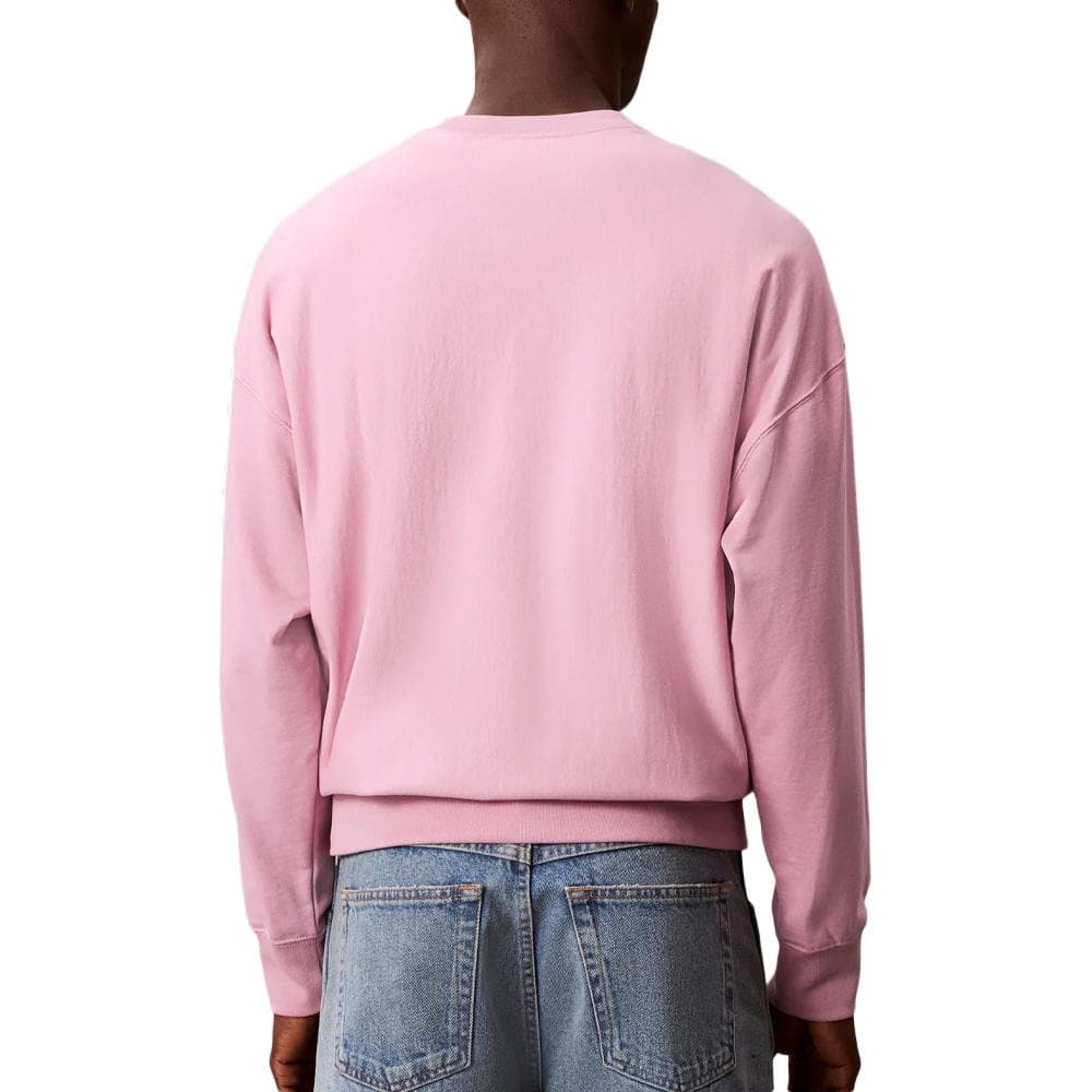 Sweat Violet Homme Calvin Klein Jeans Premium LV04RC277G 2