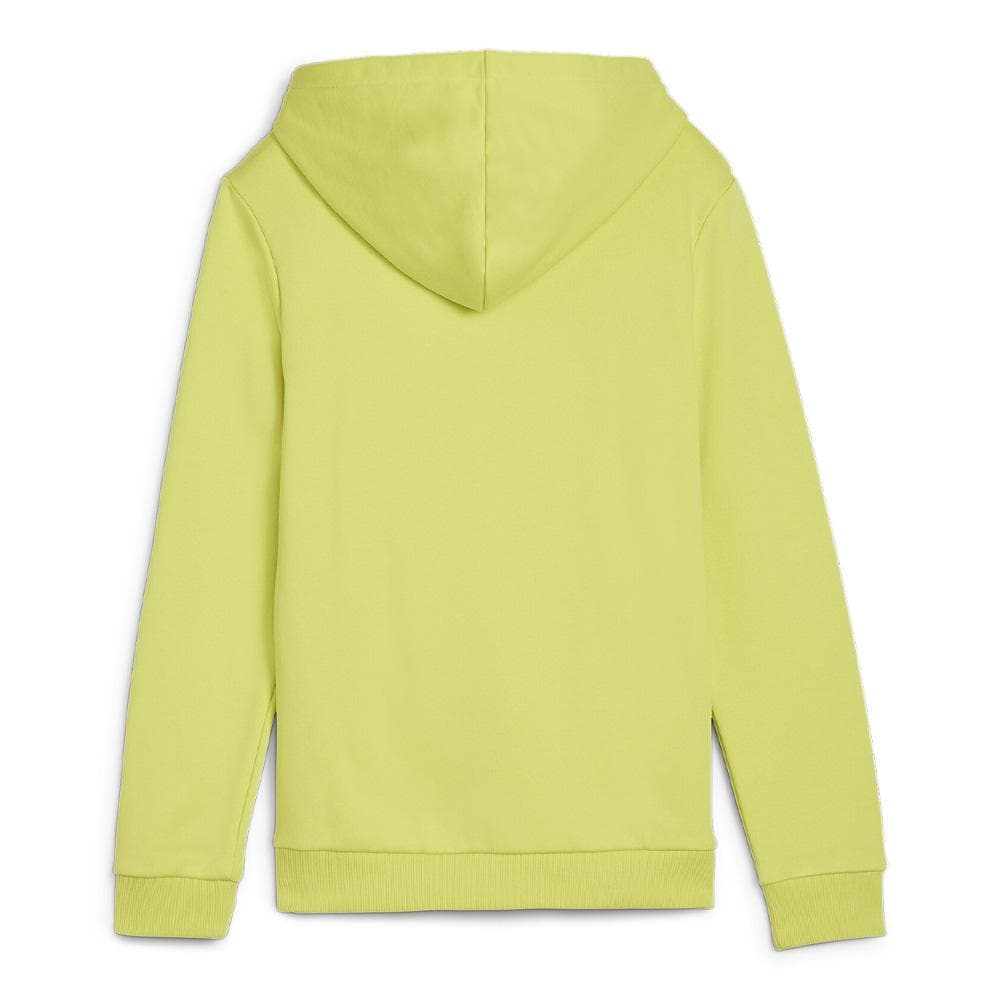Sweat Vert Garçon Puma 679226 2