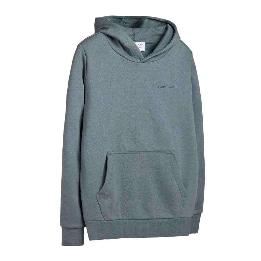 Sweat à Capuche Gris Homme Teddy Smith nark Hoody 1