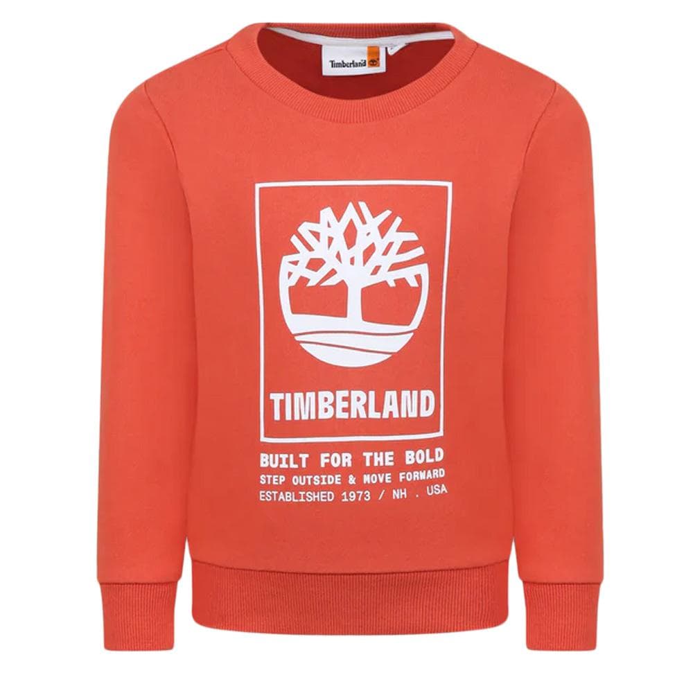 Sweat Terracotta Garçon Timberland T60075 1