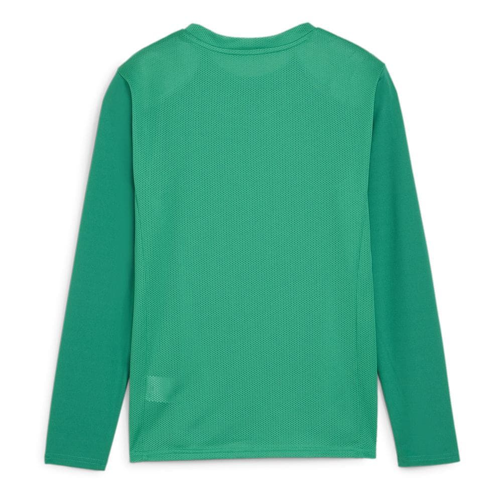T-Shirt Vert Homme Puma Teamgoal 2
