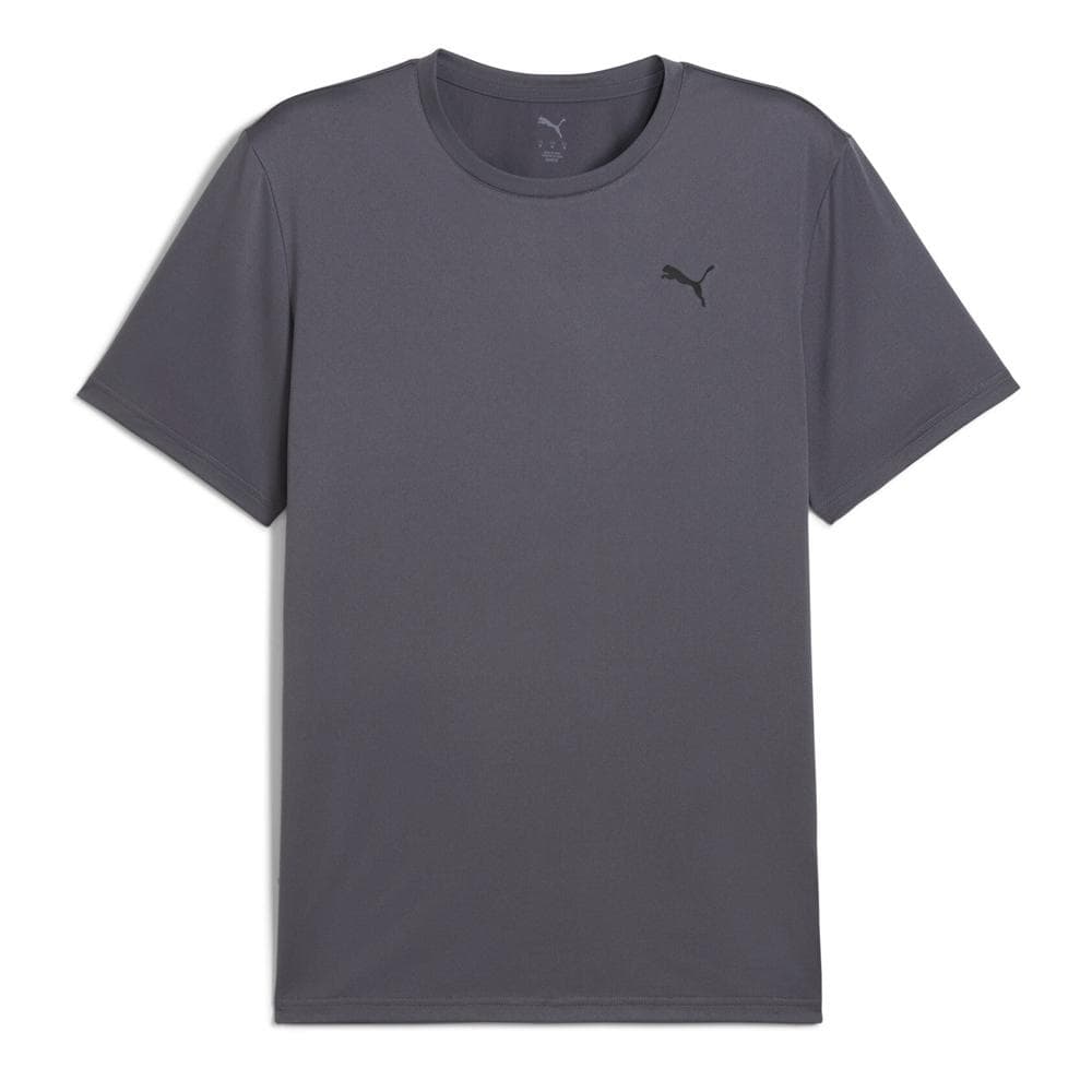 T-Shirt Gris Homme Puma Essentials Sol 1