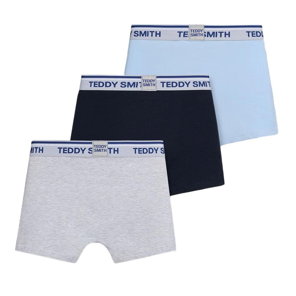 Lot de 3 Boxers Bleu/Marine/Gris Homme Teddy Smith 1TS/52/6 2