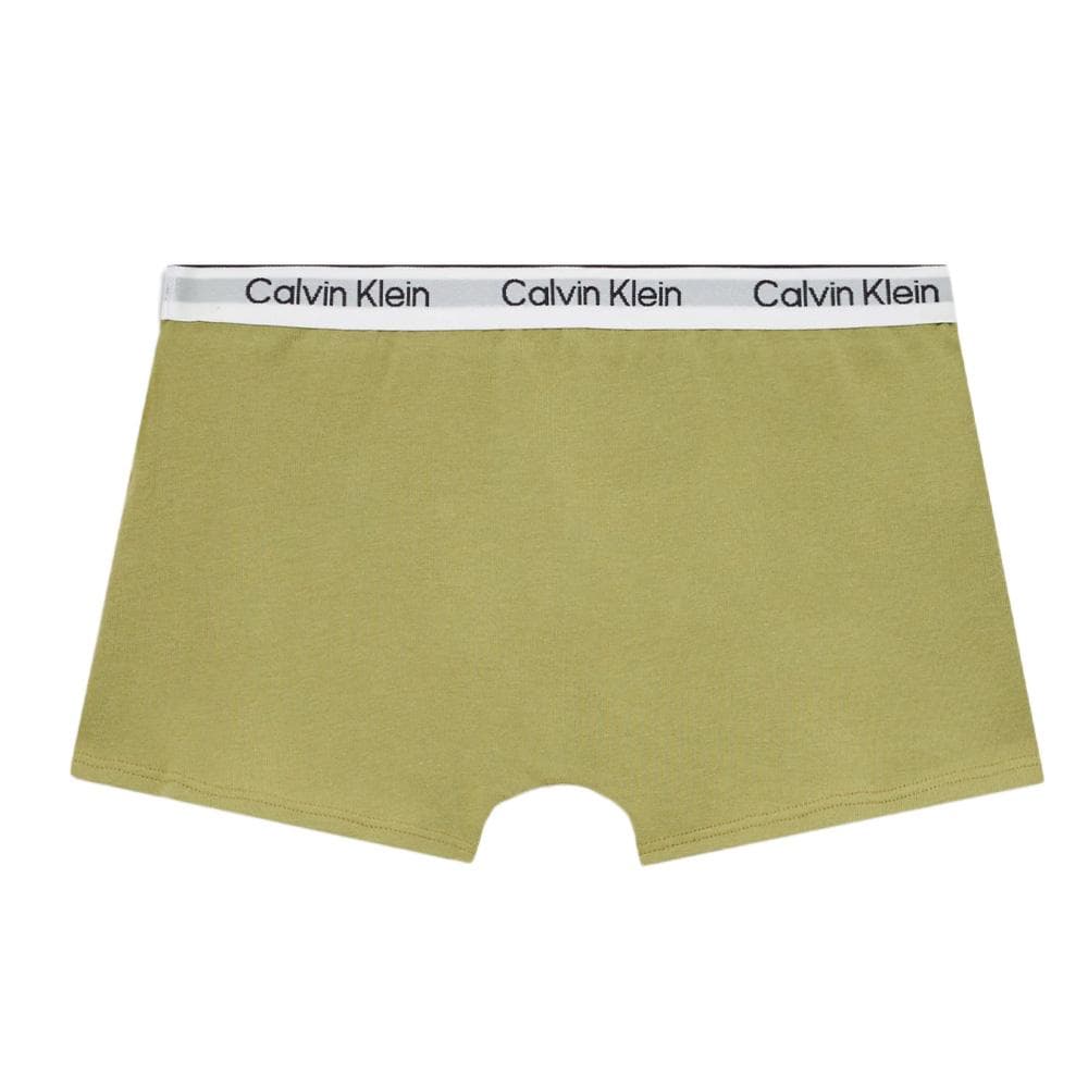 Lot de deux Boxers Vert Garçon Calvin Klein Jeans B70B700506 2