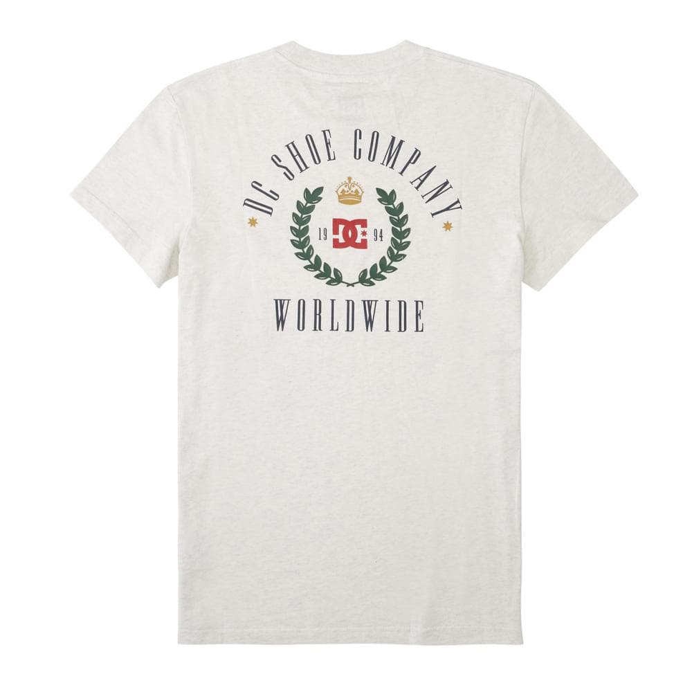 T-Shirt Gris Homme Dc shoes Hills 2