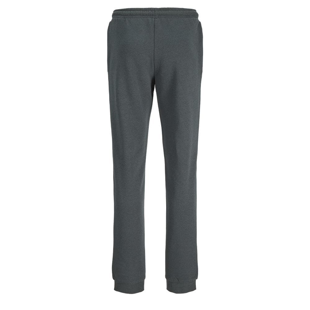 Jogging Gris Foncé Garçon Jack & Jones Jwhvesterbro 2