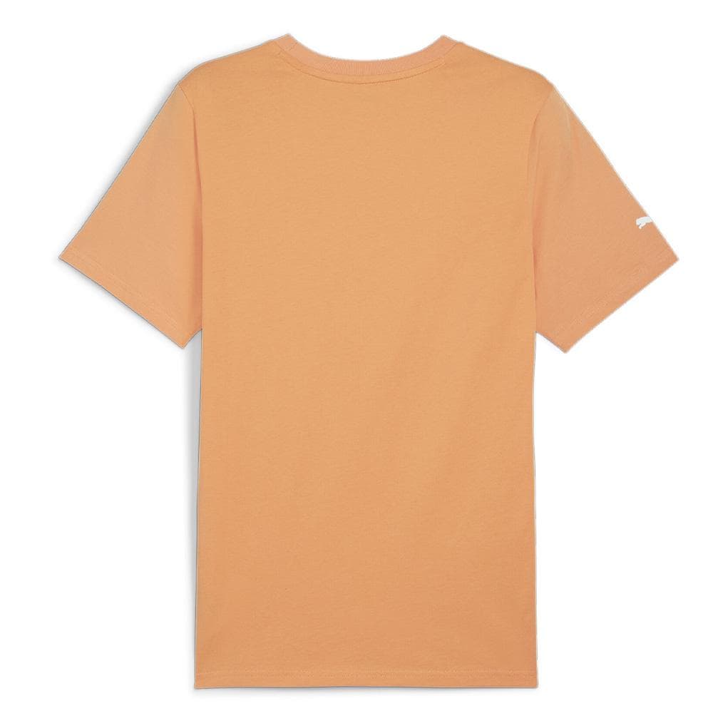 T-Shirt Orange Homme Puma Amg 2