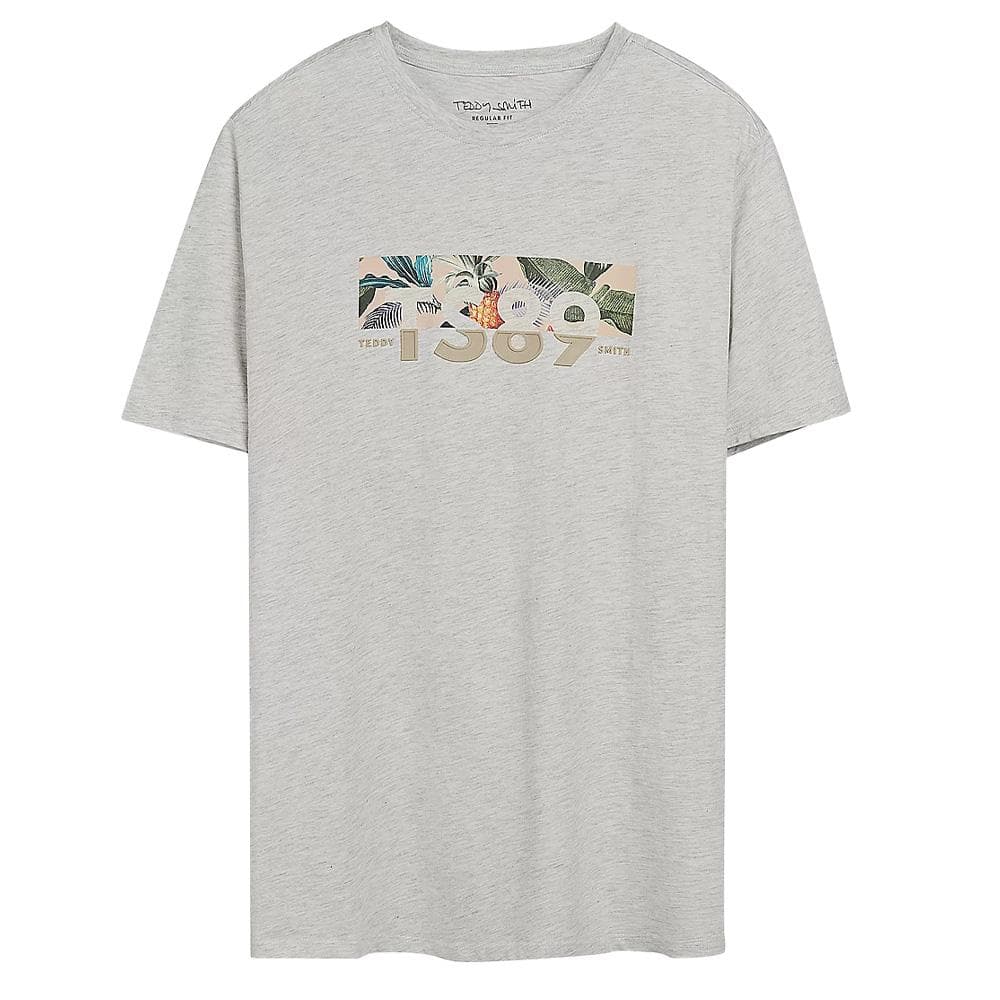 T-Shirt Gris Homme Teddy Smith Ezios 1