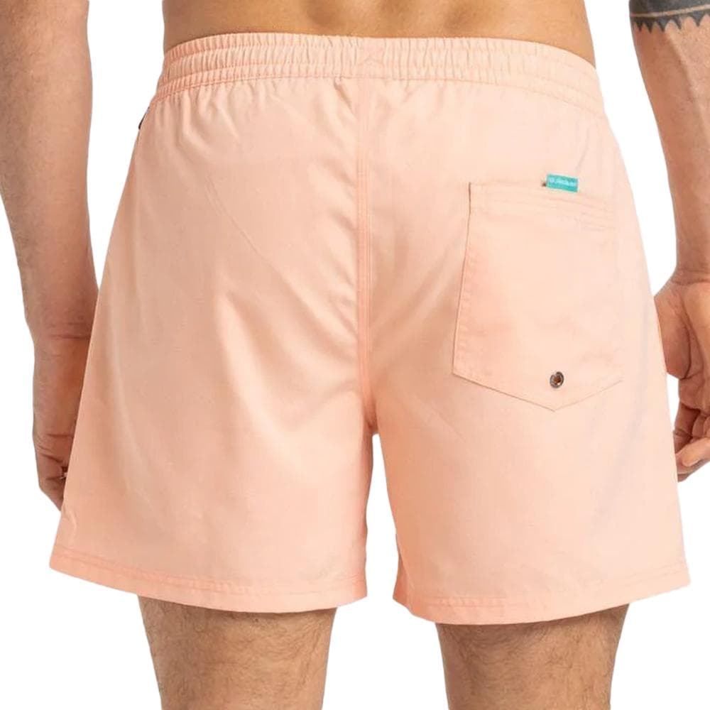 Short de Bain Corail Homme Quiksilver Solid 15 2