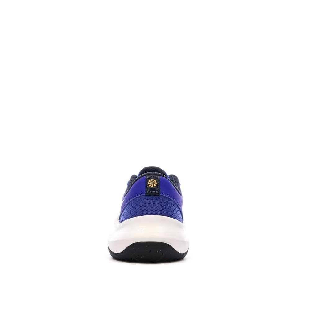 Baskets Bleu Homme Nike Legend Essential 3
