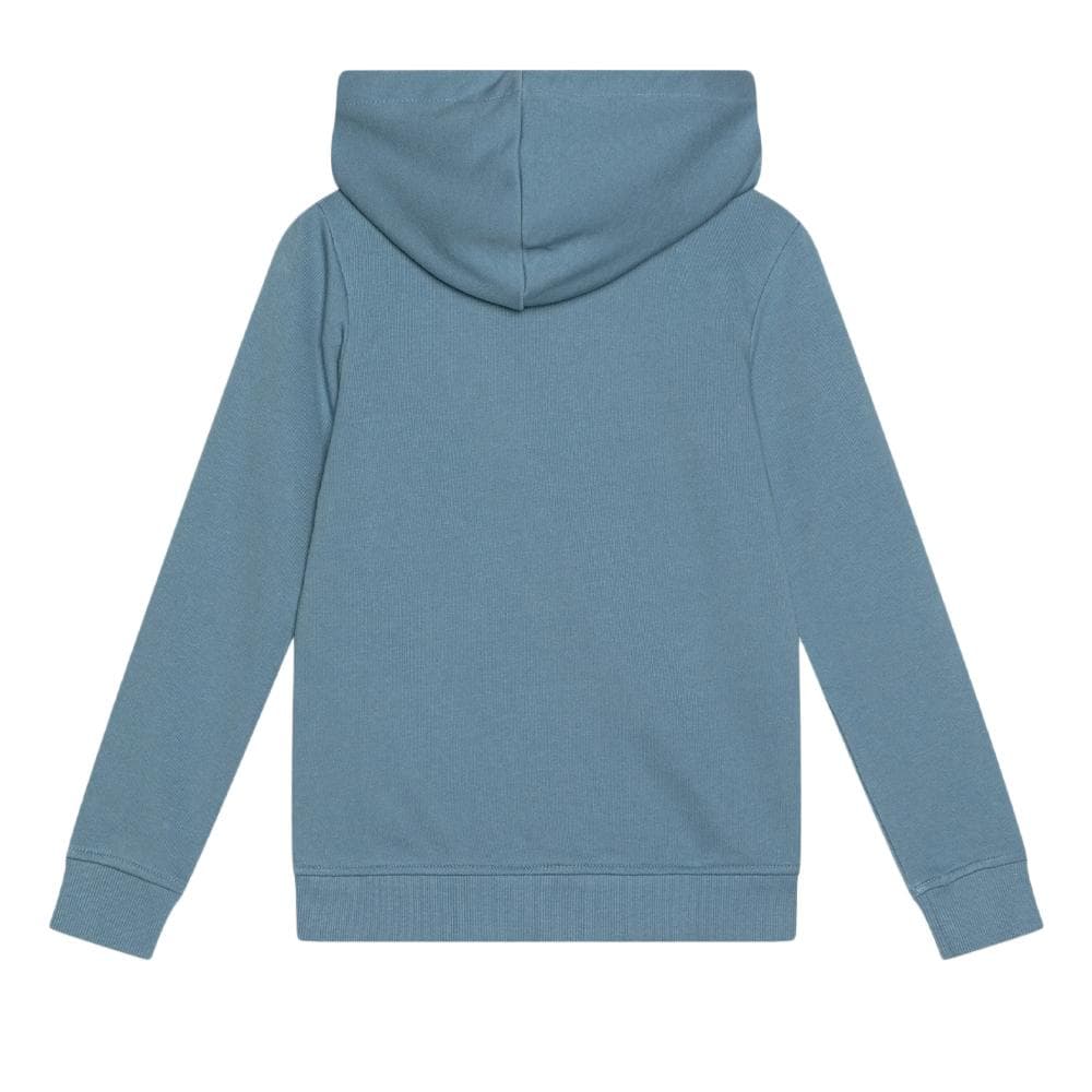 Sweat Bleu Garçon Jack & Jones Forest 2