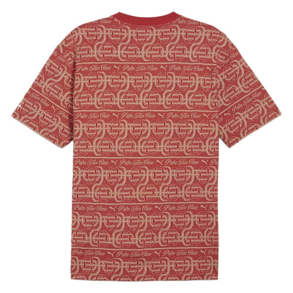 T-shirt Rouge Homme Puma X Ptc Striped 2