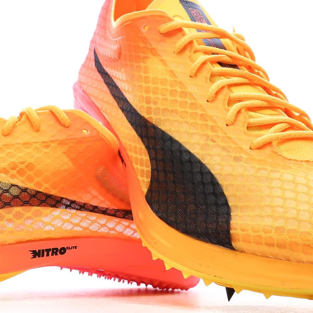 Chaussures d'athlétismes Orange Homme Puma Evospeed Distance Nitro Elite 6