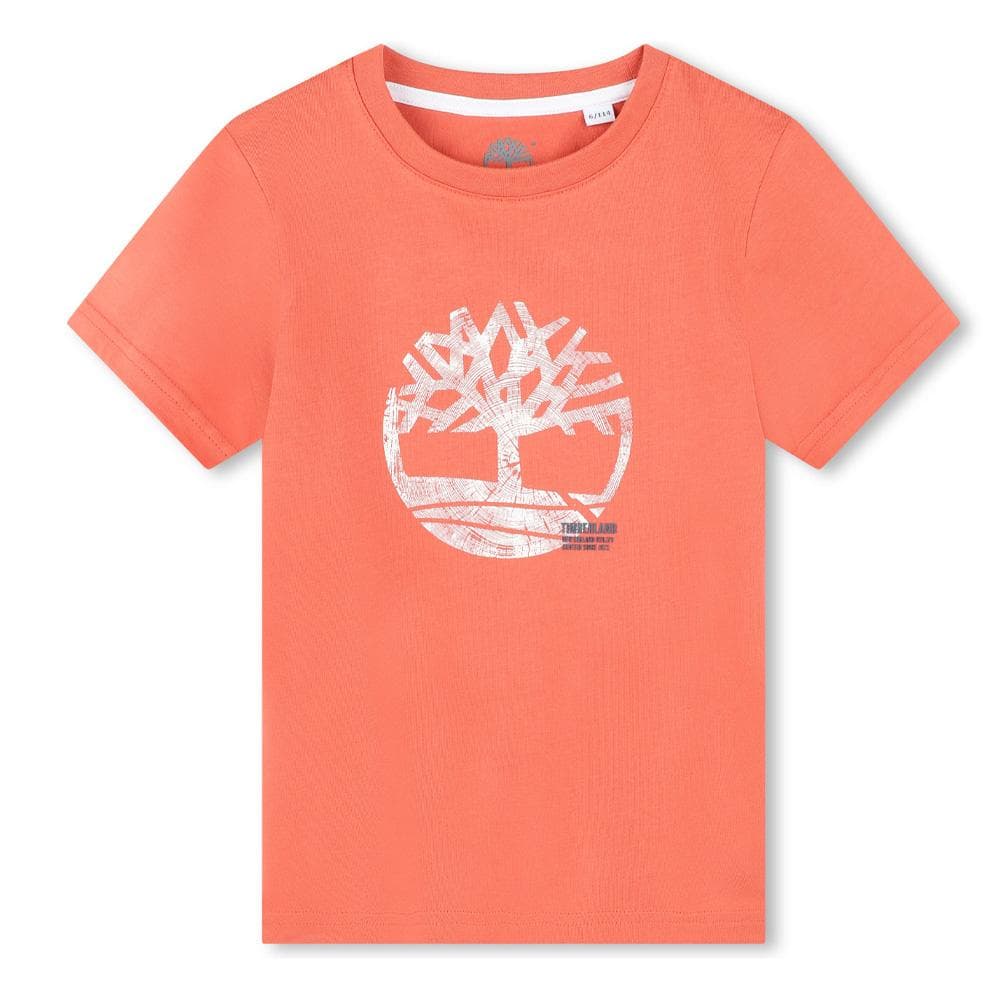 T-shirt Orange Garçon Timberland T60087 1