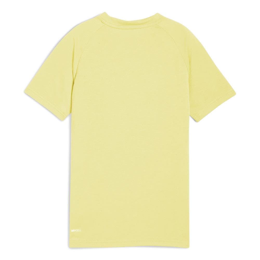 T-Shirt Jaune Garçon Puma Evostripe 2