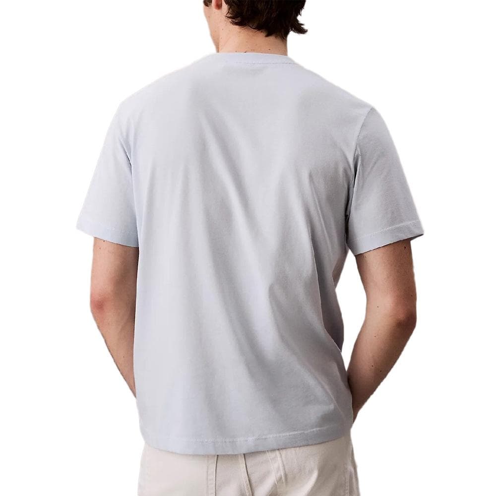 T-Shirt Gris Homme Calvin Klein Jeans Easys 2