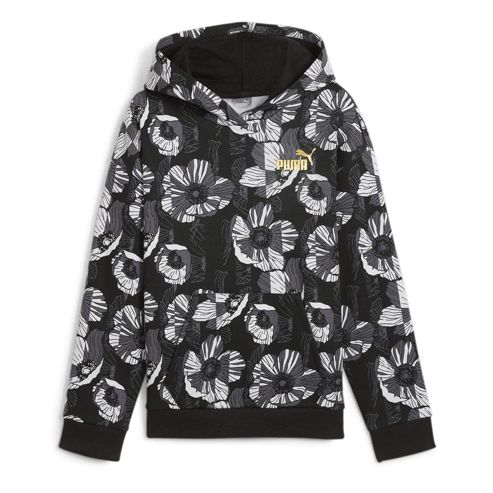 Sweat à Capuche Noir/Gris Fille Puma Ess+ Class 1