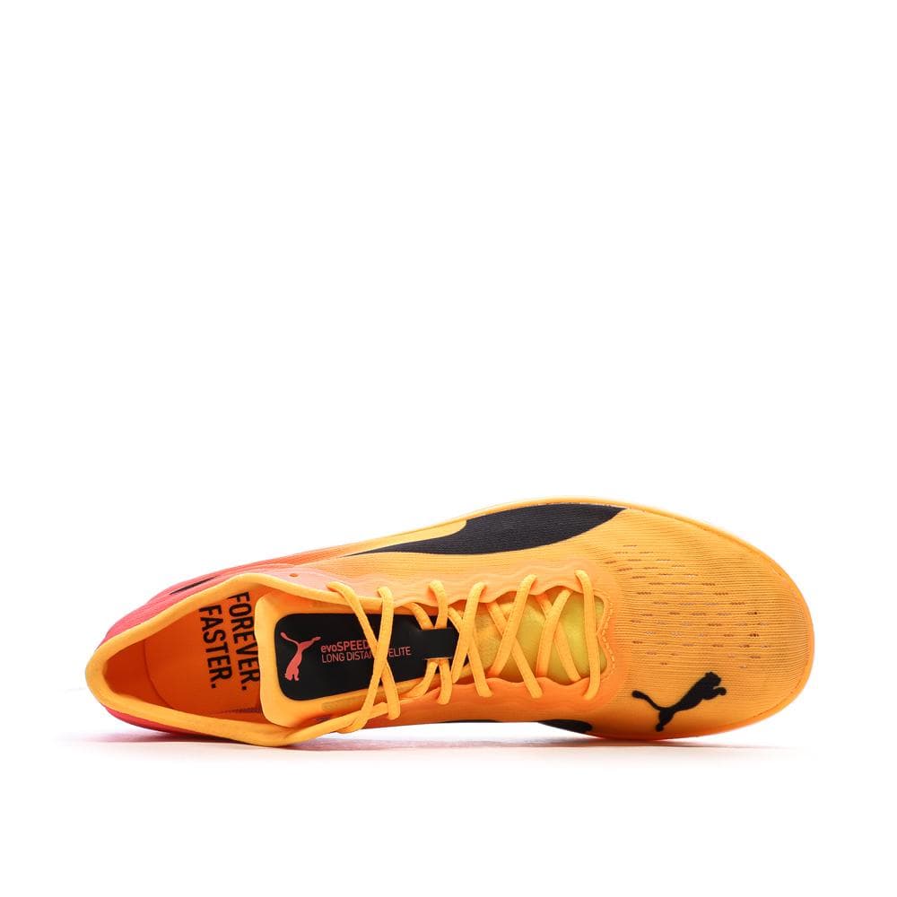 Chaussures d'athlétisme Jaune/Rose Homme Puma Evospeed Long Distance Nitro Elite 2 4