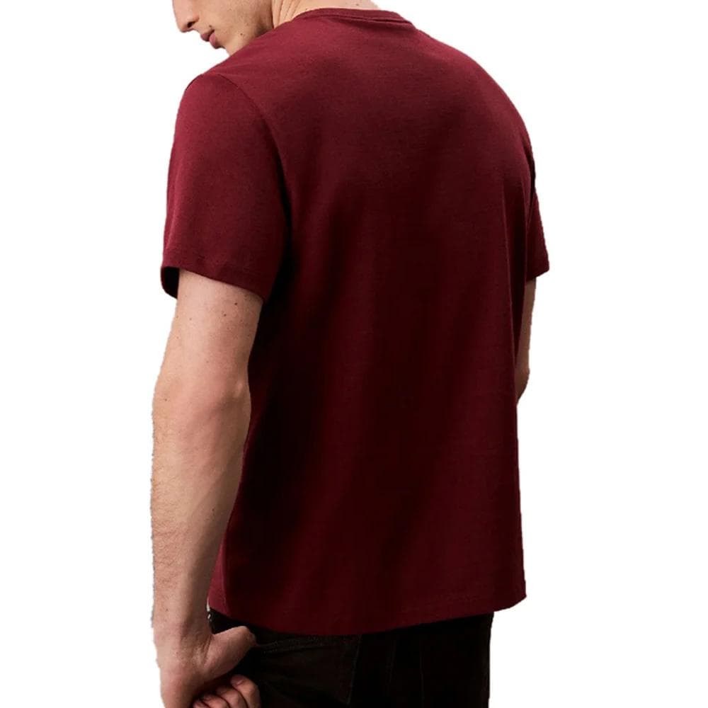T-Shirt Prune Homme Calvin Klein Jeans Easy LV04RC275G 2