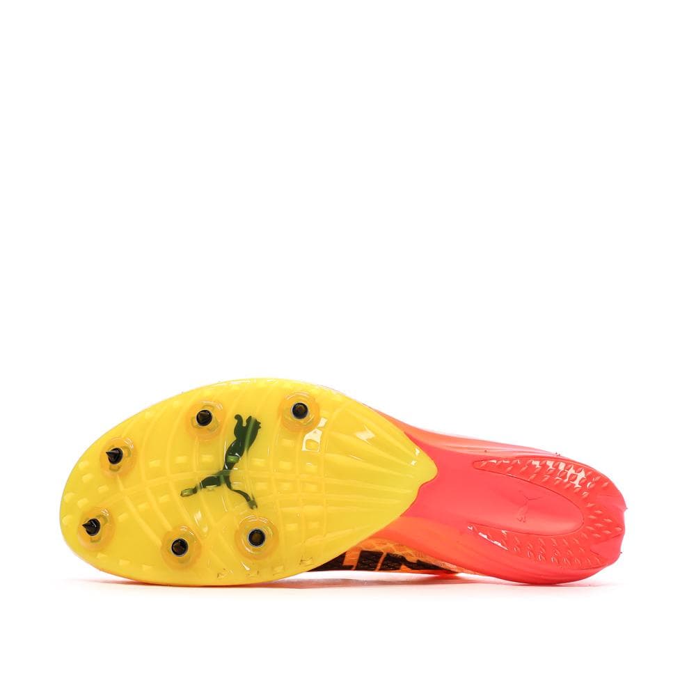 Chaussures d'athlétismes Orange Homme Puma Evospeed Distance Nitro Elite 7