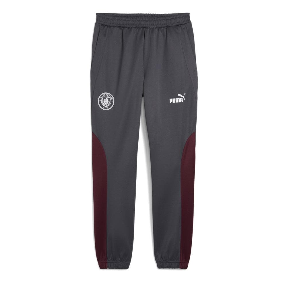 Manchester City Jogging Gris Homme Puma 2024/25 1