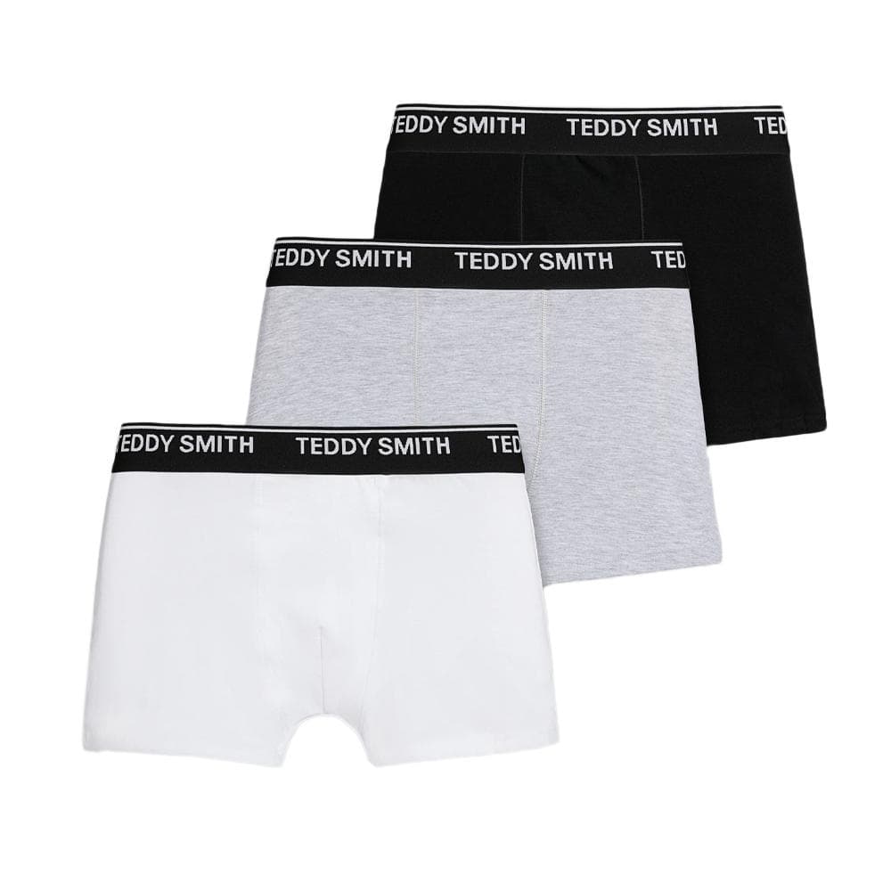 Lot de 3 Boxers Noirs/Gris/Blanc Homme Teddy Smith 1TS/52/8 1