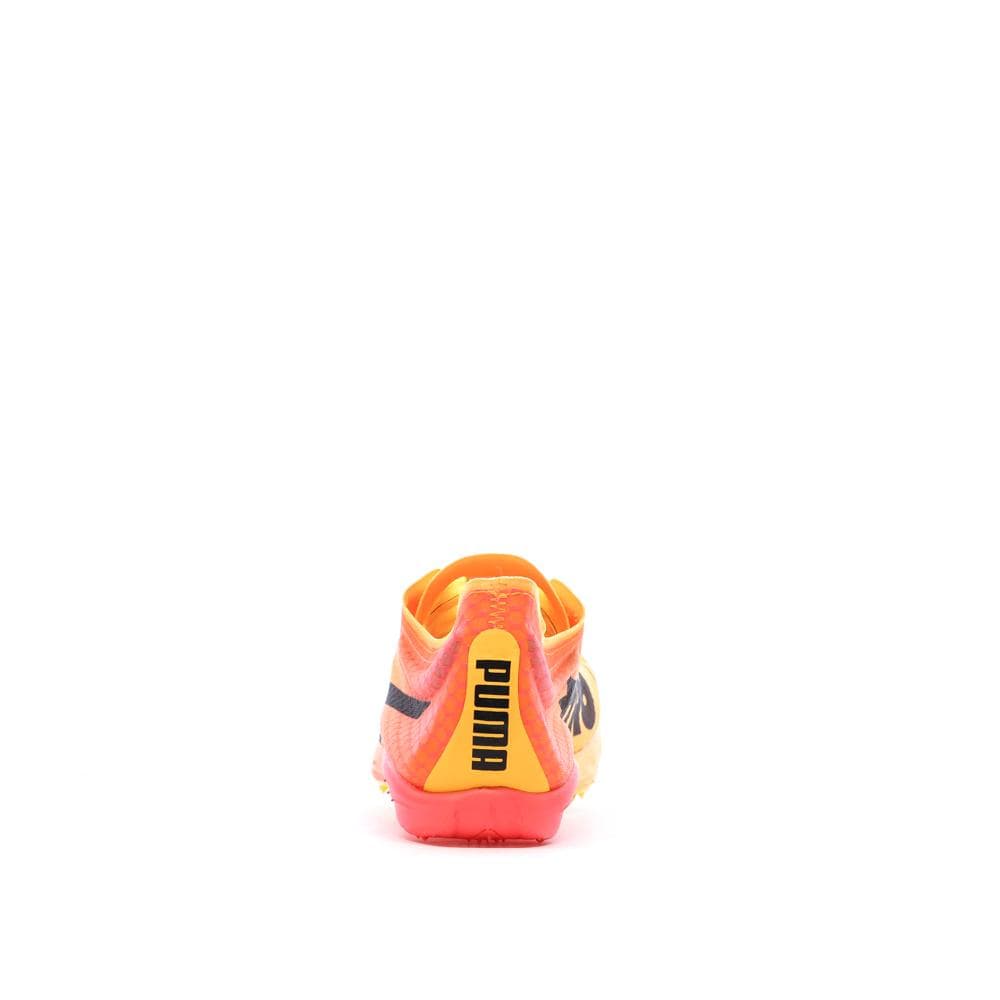 Chaussures d'athlétismes Orange Homme Puma Evospeed Distance Nitro Elite 3