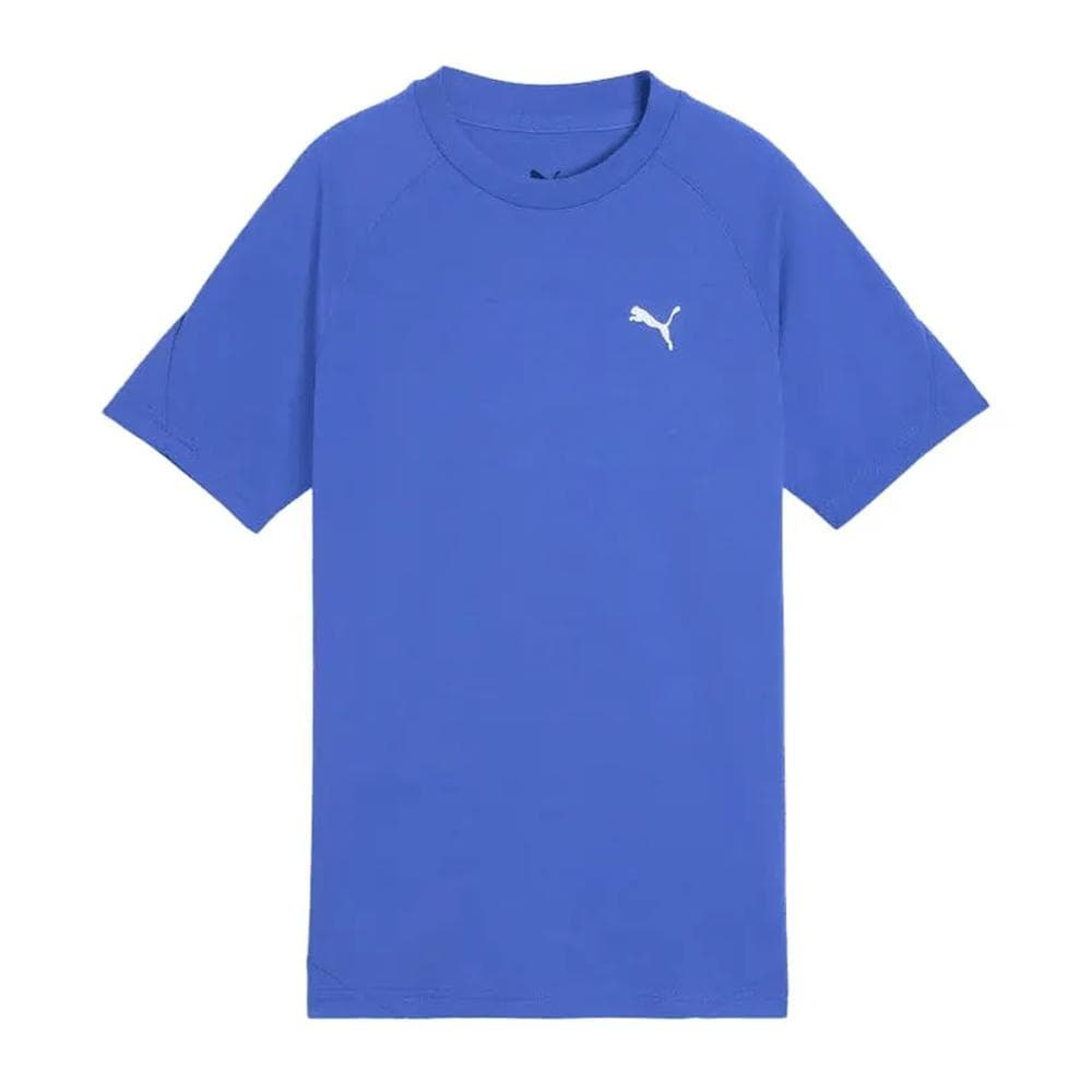 T-Shirt Bleu Garçon Puma Evostripesd 1
