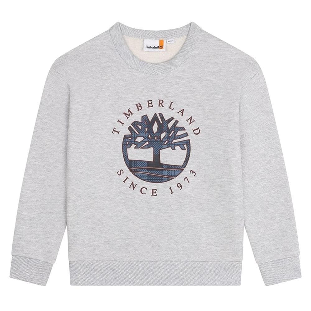 Sweat Gris Garçon Timberland T60319 1